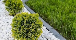 rock landscaping ideas front yard