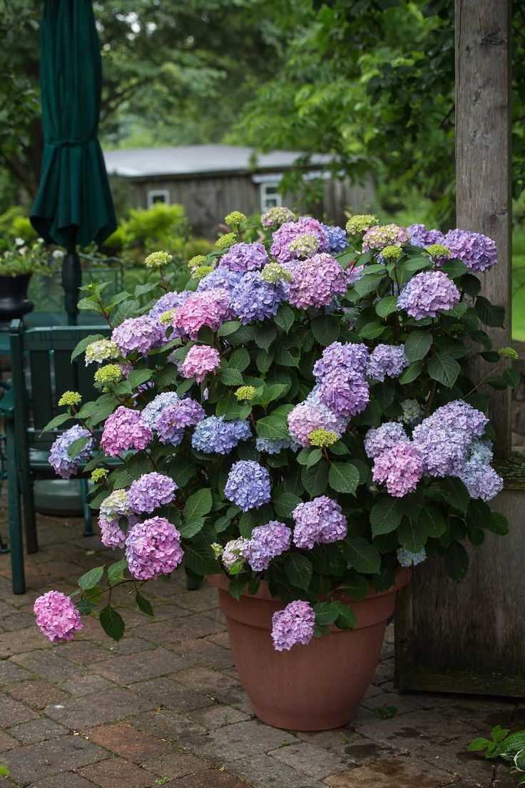 Creative Selection of Garden Pots for Your Outdoor Space