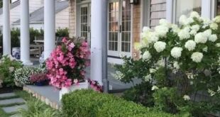 small front yard landscaping ideas