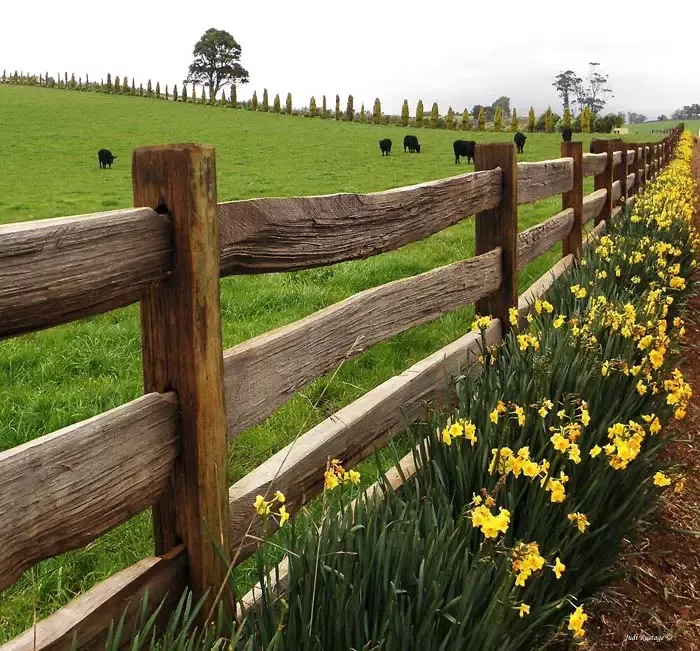 Creative Solutions for Farm Fencing