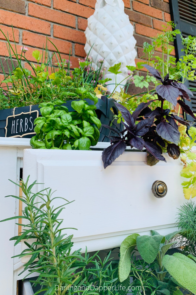 Creative Use of Chest of Drawers as Garden Planters