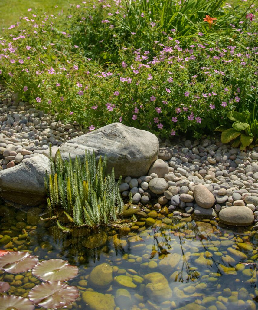 water garden ideas