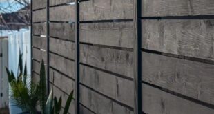 privacy fence ideas on a budget