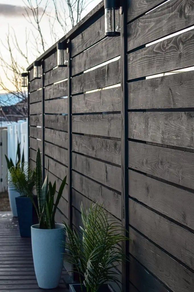 Creative Ways to Achieve Privacy with Affordable Fencing Solutions