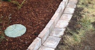 garden edging ideas