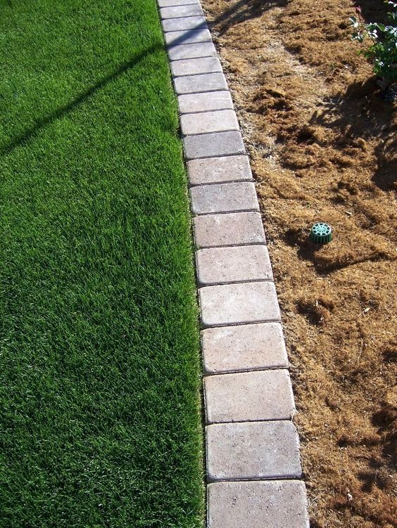 Creative Ways to Define Your Lawn with Edging
