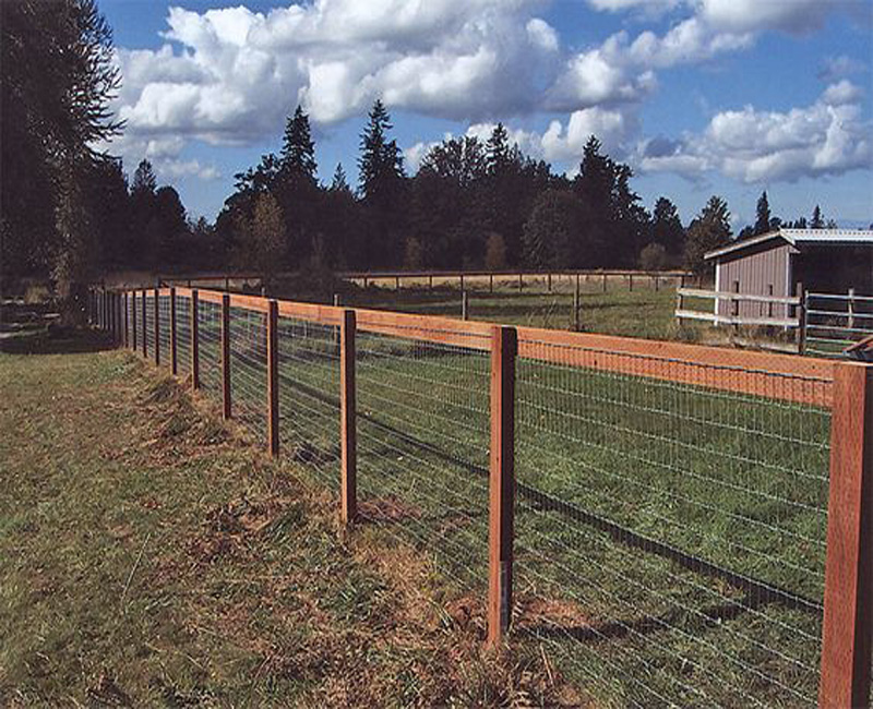 Creative Ways to Design Farm Fencing