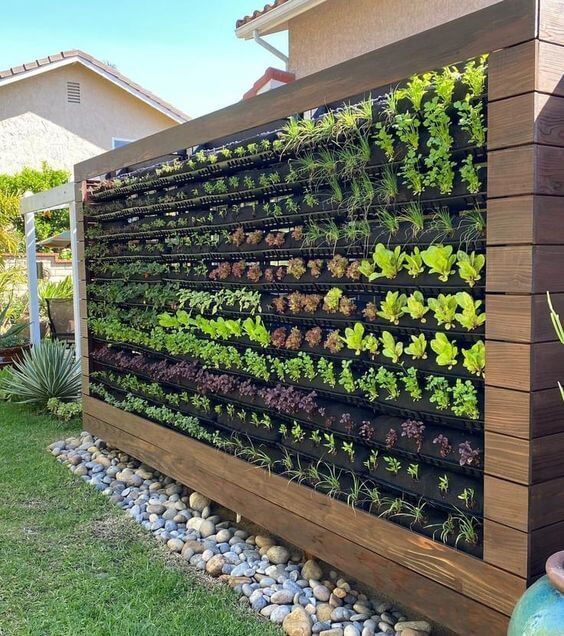 Creative Ways to Design Vertical Gardens