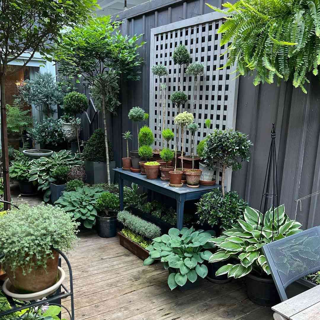 Creative Ways to Design a Cozy Garden Patio