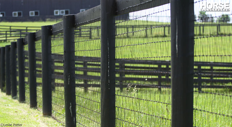 Creative Ways to Enhance Your Farm with Unique Fencing Ideas