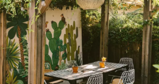 backyard ideas budget