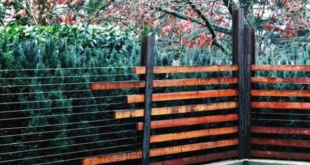dog fence ideas backyards