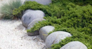 garden ideas stones