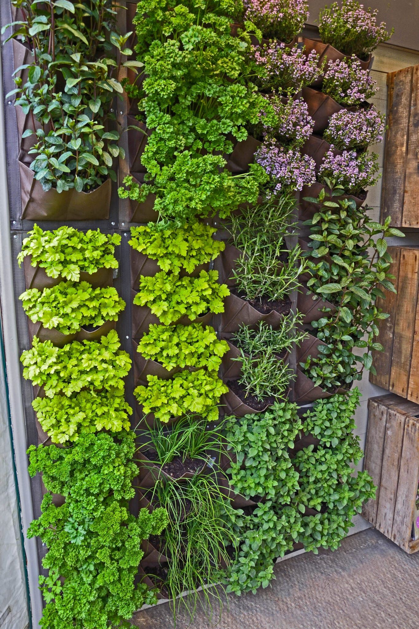 Creative Ways to Maximize Space in Your Tiny Garden