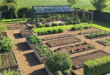 veggie garden ideas