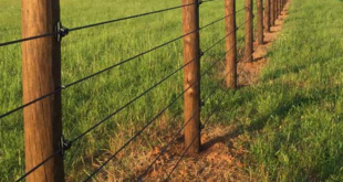 farm fence ideas