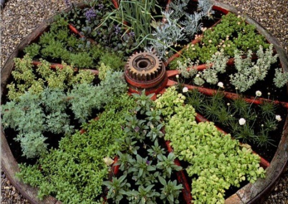 Creative Ways to Set Up Your Own Herb Garden