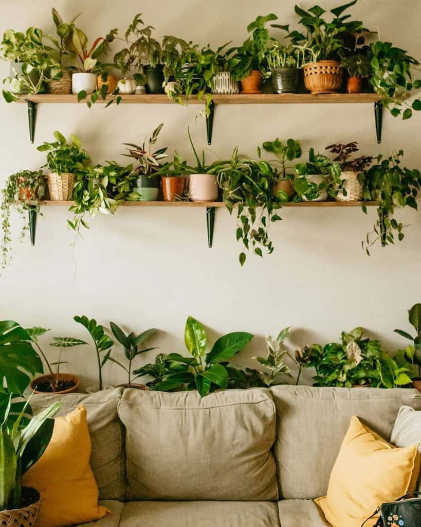 Creative Ways to Spruce Up Your Home Garden