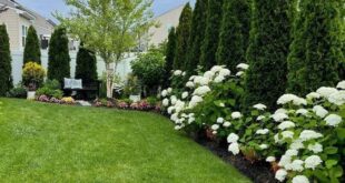 small house landscaping