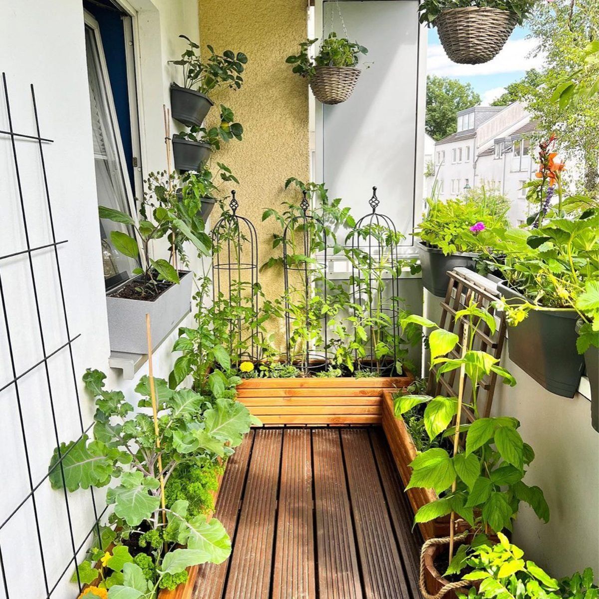 Creative Ways to Transform Your Balcony into a Lush Urban Oasis