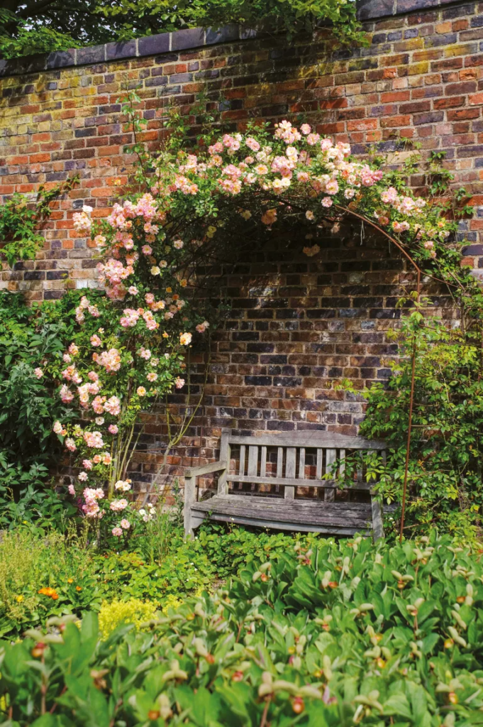 rose garden ideas