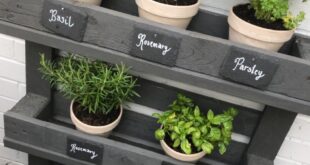 herb garden ideas