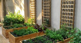 veggie garden ideas