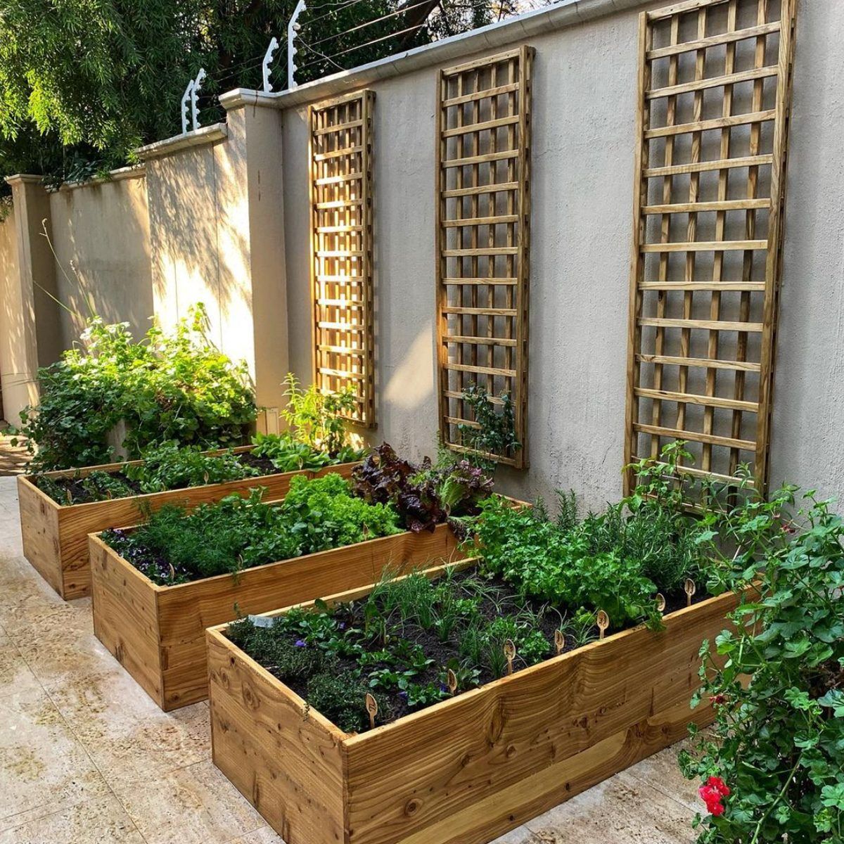 Creative and Practical Vegetable Garden Designs for Growing a Bountiful Harvest