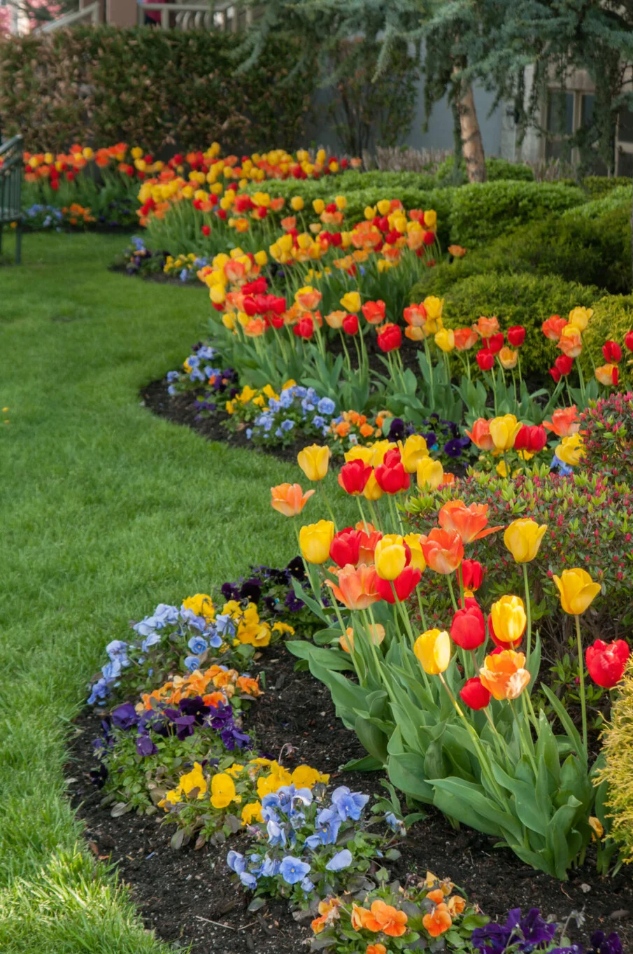 Creative and Unique Flower Bed Layouts for Your Garden