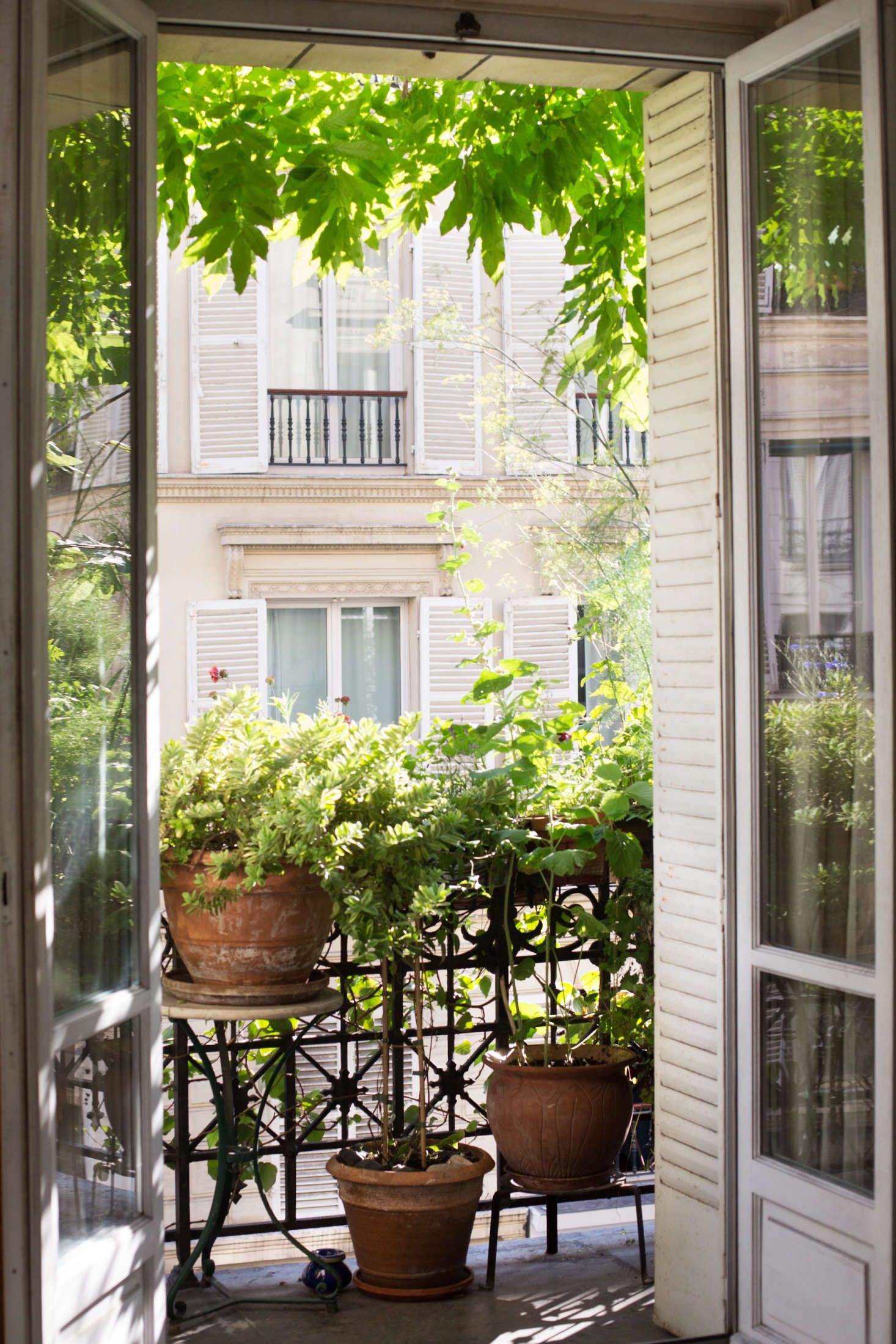 Creativity and Inspiration for Small Space Gardening: Balcony Garden Ideas