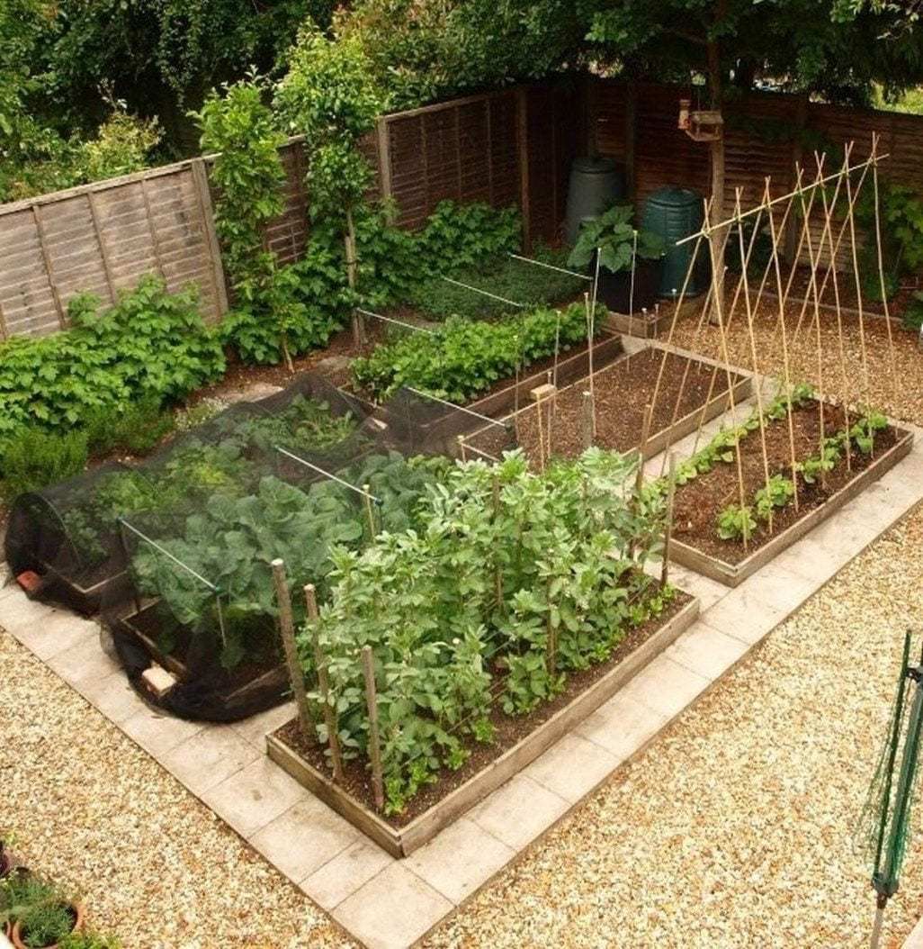 Designing a Layout for Raised Garden Beds: A Comprehensive Guide
