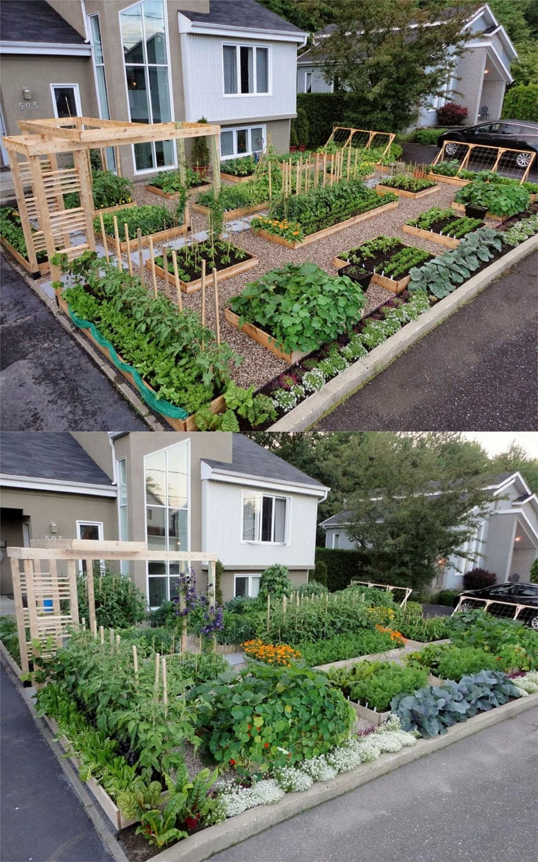 Designing a Lush and Productive Vegetable Garden