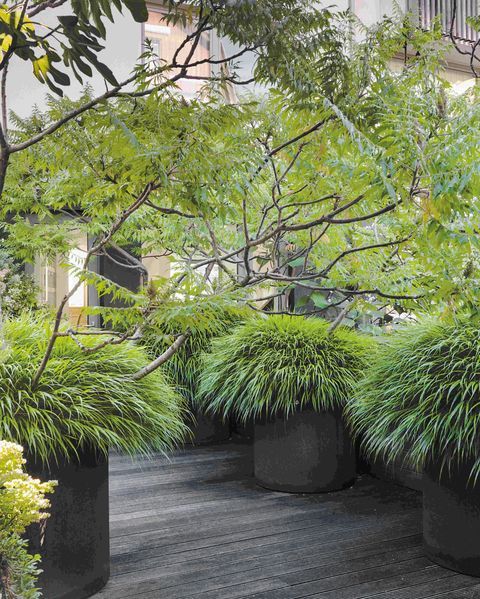 Discover the Beauty of Oversized Garden Planters