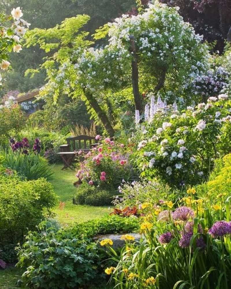 Discover the Charm of Cottage Gardens