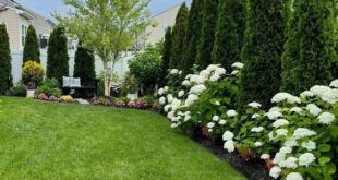simple front yard landscaping