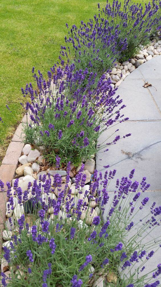 Effortless Ways to Create a Low Maintenance Landscape