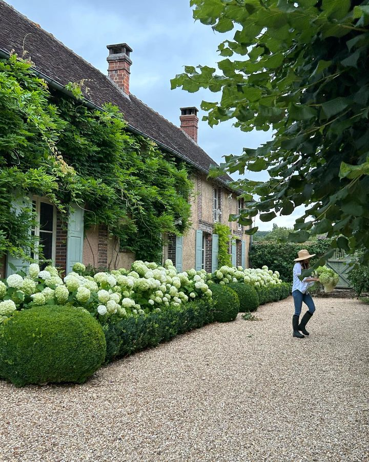 Elegance and Charm: Exploring the Beauty of French Garden Design