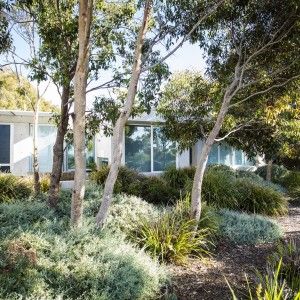 Embracing Eco-Friendly Practices: The Benefits of Sustainable Landscaping