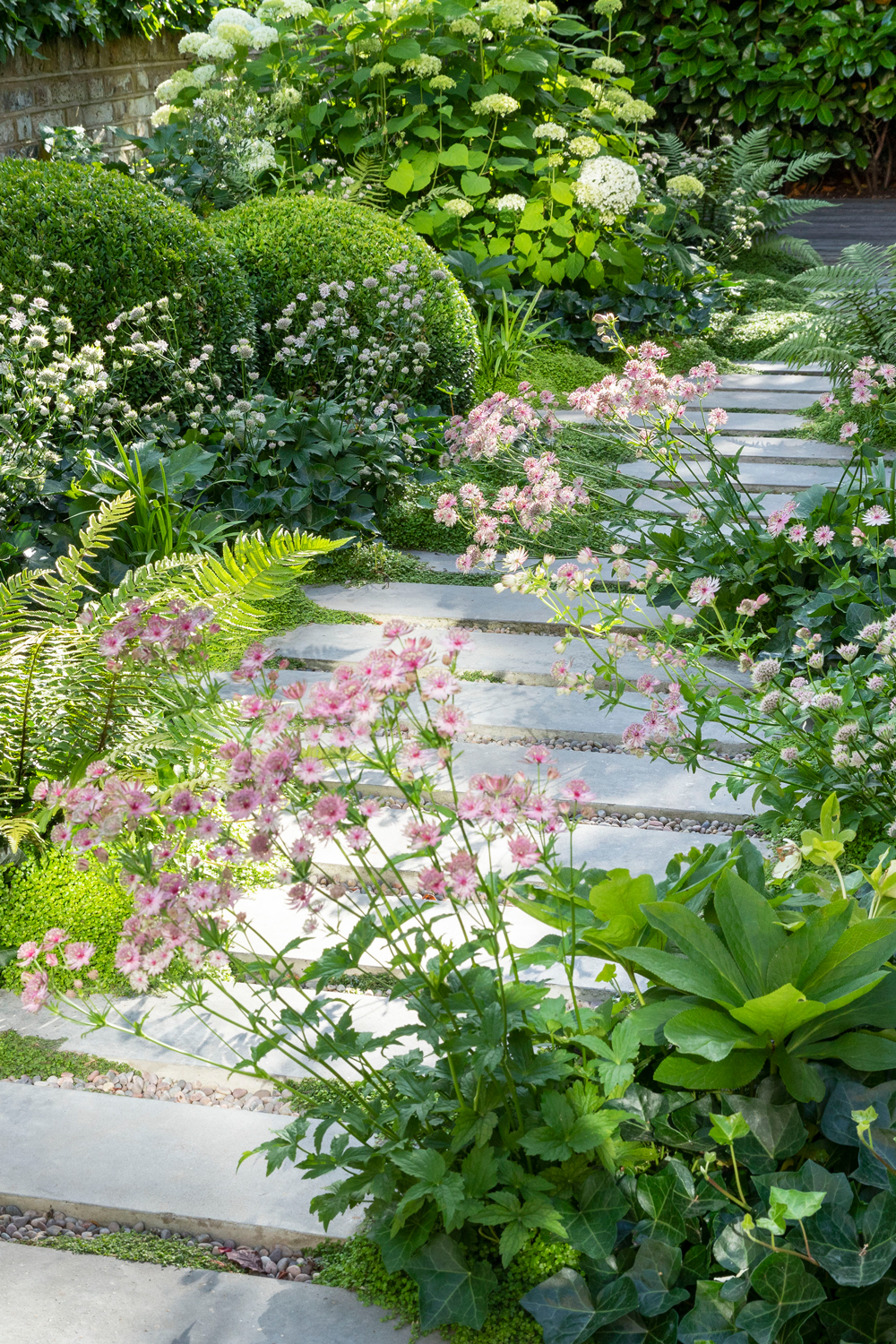 Embracing the Charm of Petite Gardens