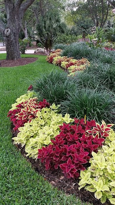 Enhance Your Curb Appeal: Creative Front Yard Landscaping Ideas with Rocks