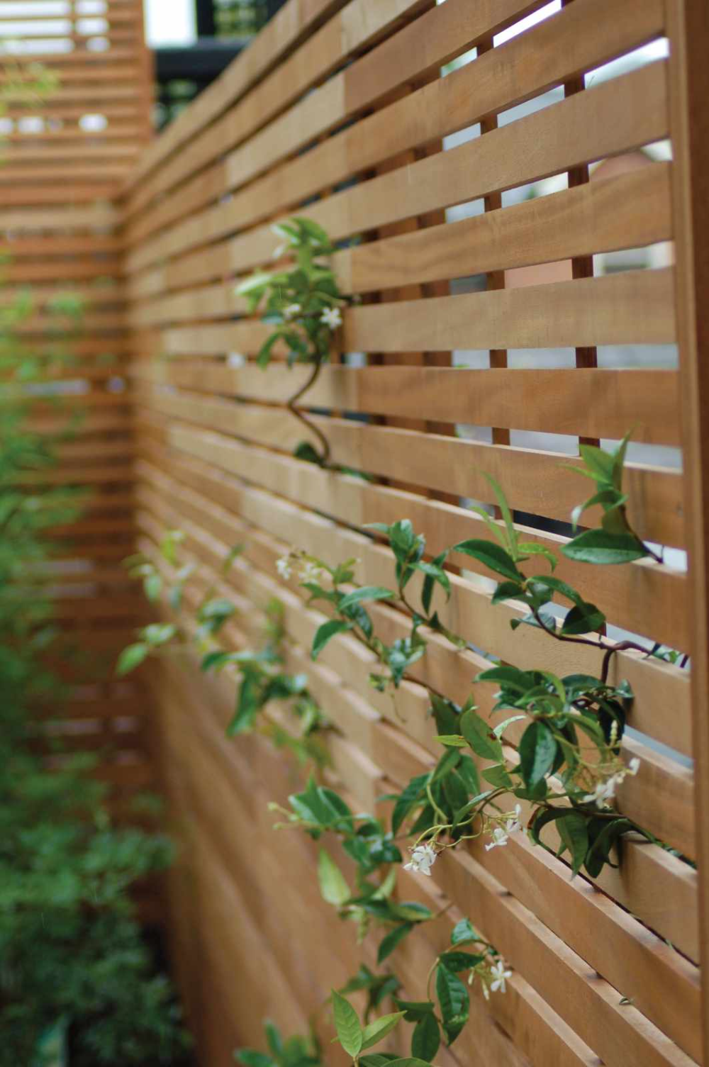 Enhance Your Garden with Beautiful Fencing Panels