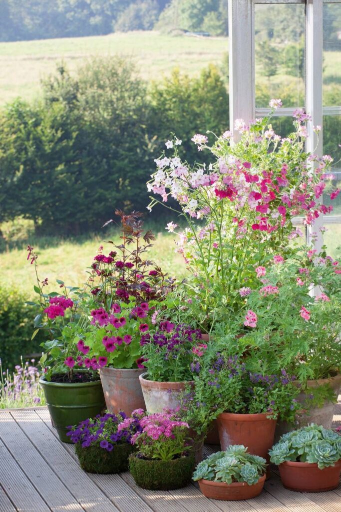 garden pots