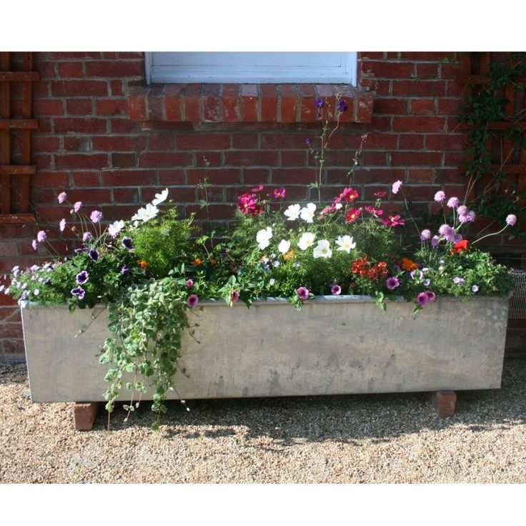 Enhance Your Garden with Beautiful Trough Planters