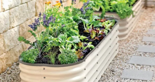 galvanized raised garden beds