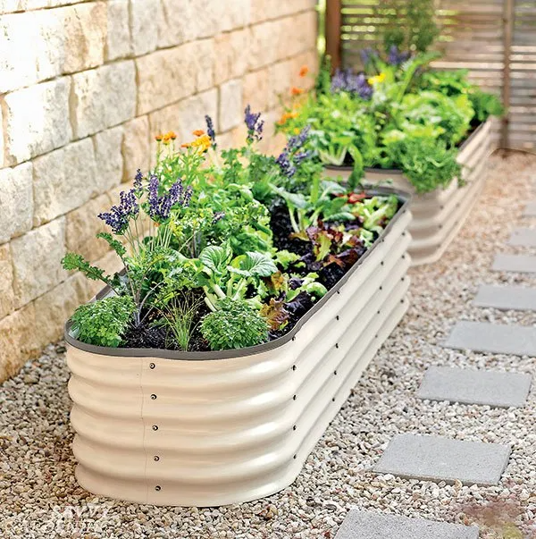 Enhance Your Garden with Galvanized Raised Beds
