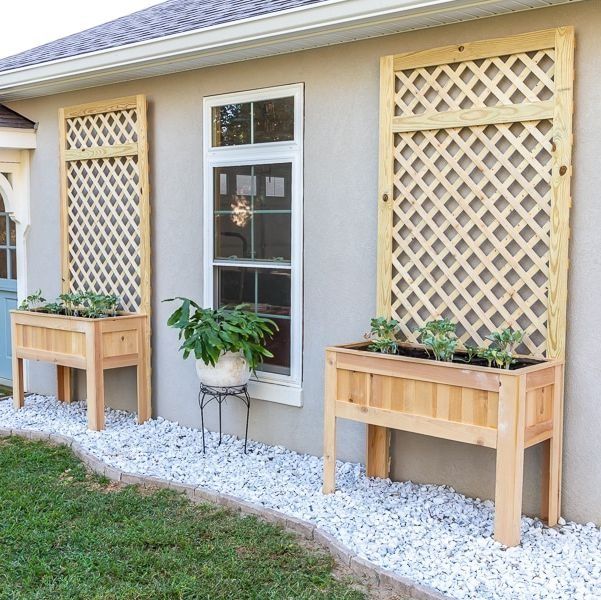 Enhance Your Garden with a Stylish Planter and Trellis Combination