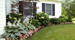 landscaping for ranch style homes