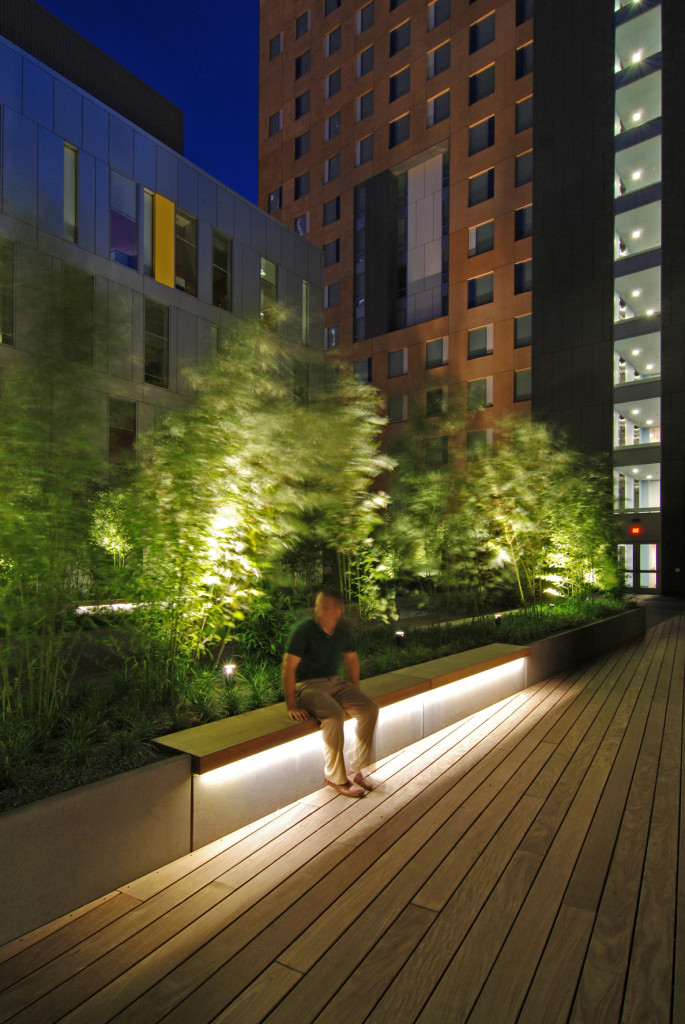 Enhancing Outdoor Ambiance with Stunning Landscape Lighting