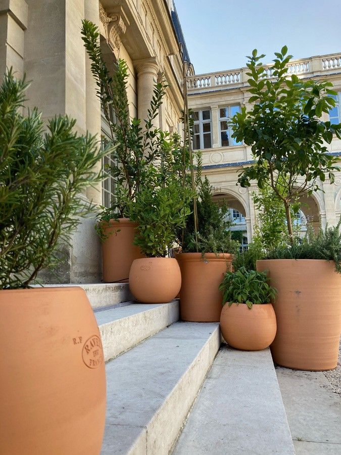 Enhancing Outdoor Spaces with Oversized Garden Pots