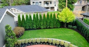 landscaping privacy ideas